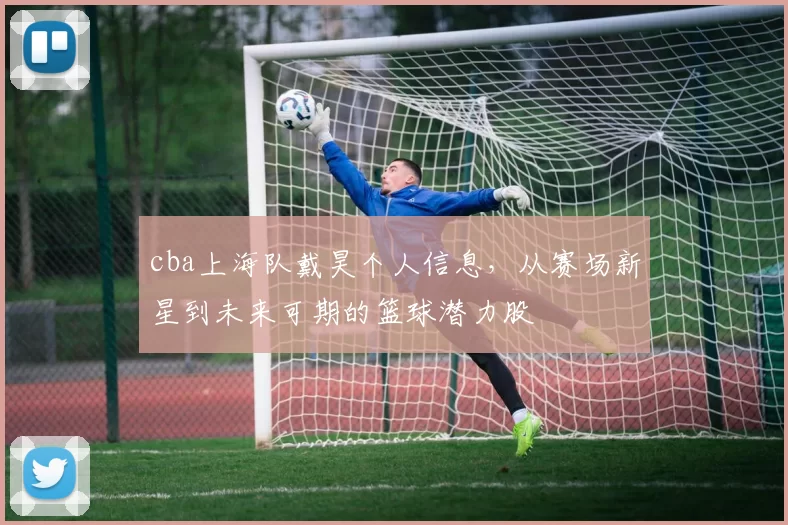 cba上海队戴昊个人信息，从赛场新星到未来可期的篮球潜力股