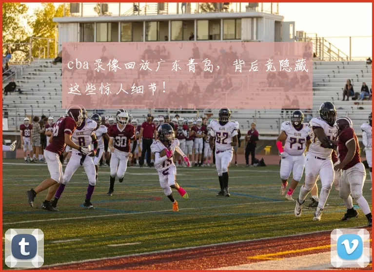 cba录像回放广东青岛,背后竟隐藏这些惊人细节!