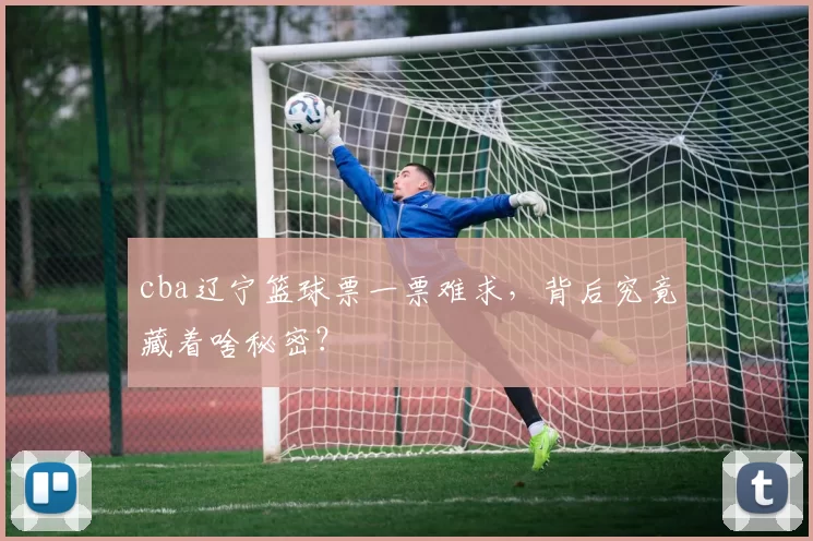 cba辽宁篮球票一票难求，背后究竟藏着啥秘密？