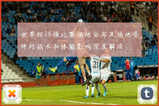 世界杯16强比赛场地分布及场地条件对战术和体能影响深度解读