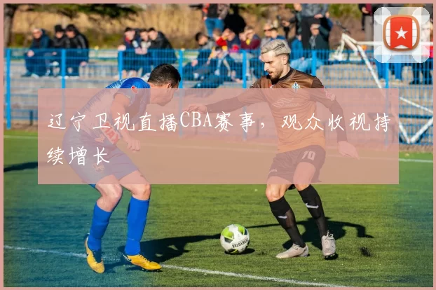 辽宁卫视直播CBA赛事，观众收视持续增长