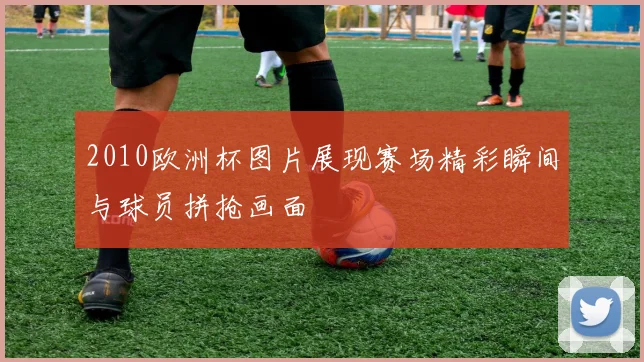 2010欧洲杯图片展现赛场精彩瞬间与球员拼抢画面